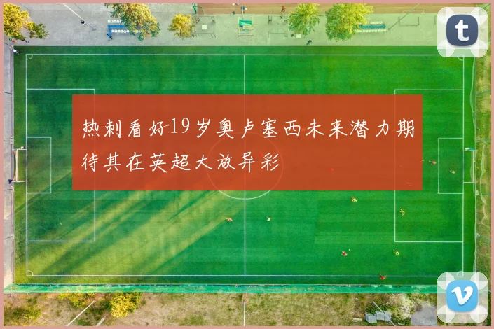 热刺看好19岁奥卢塞西未来潜力期待其在英超大放异彩