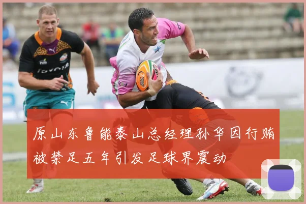 原山东鲁能泰山总经理孙华因行贿被禁足五年引发足球界震动